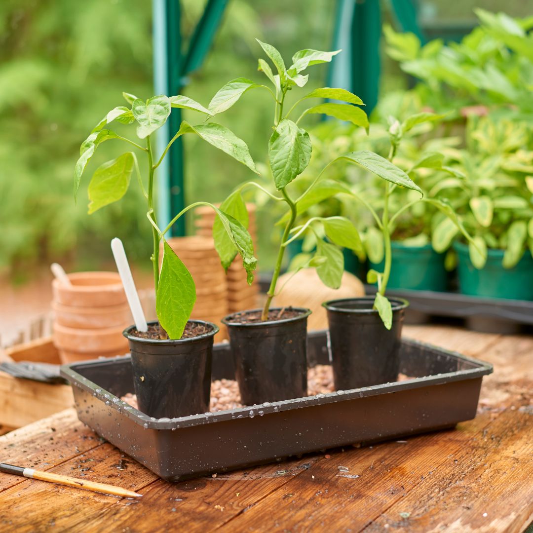 Gro-Sure Standard Gravel Tray Rigid