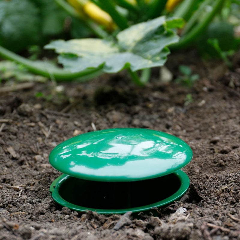Growing Success Slug & Snail Trap - The Garden HouseWestland