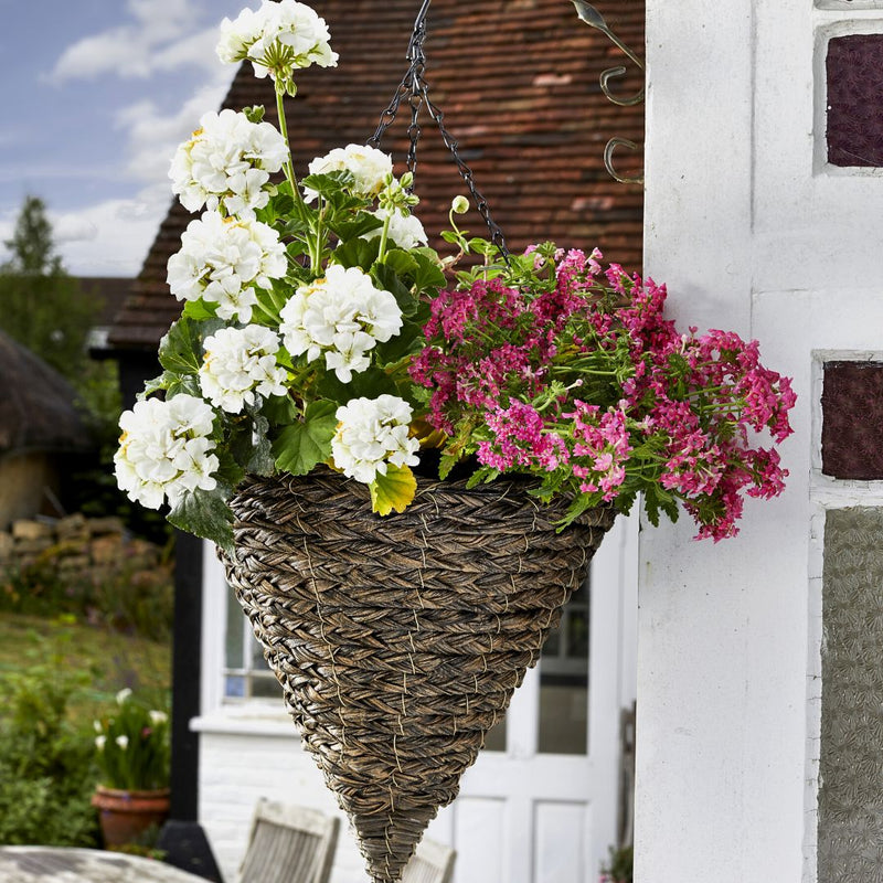 Hanging Basket Cone Tawny - The Garden HouseSmart Garden