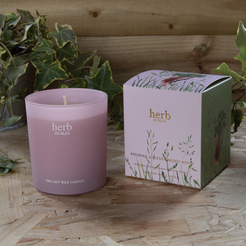 Herb Dublin Rhubarb & Garden Mint Candle - The Garden HouseHerb Dublin