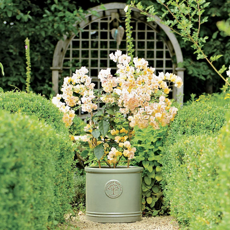 Heritage Cylinder Green - The Garden HouseWoodlodge