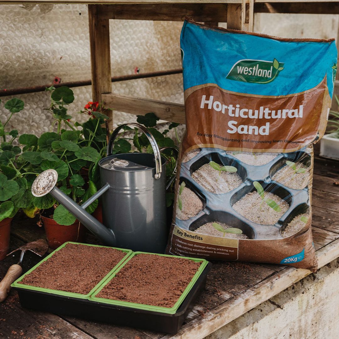 Horticultural Sand 20kg