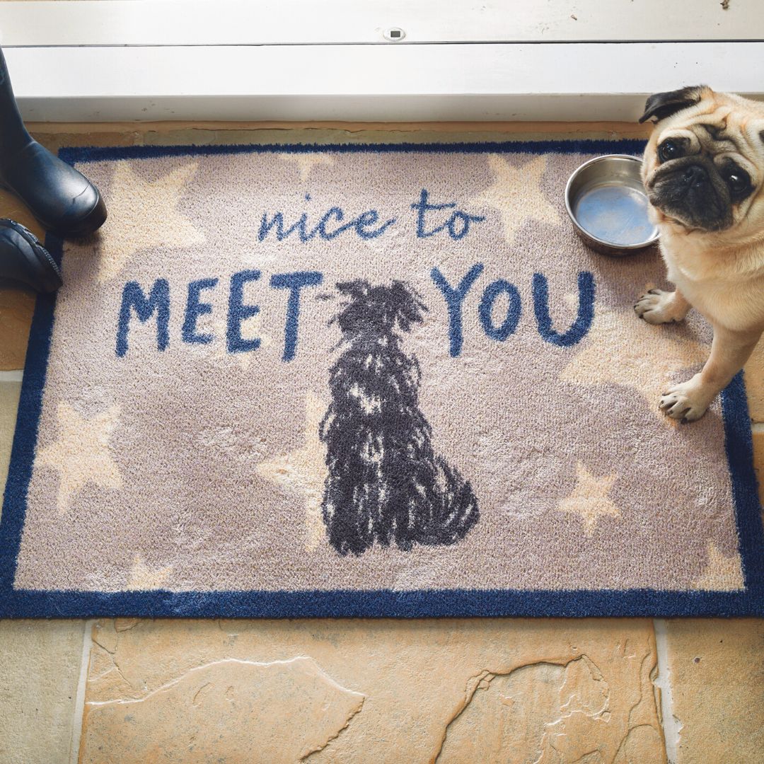 Hug Rug Mat Nice To Meet You