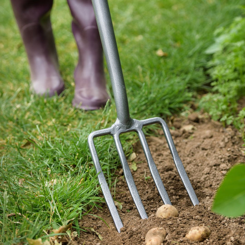 Kent & Stowe Carbon Steel Border Fork