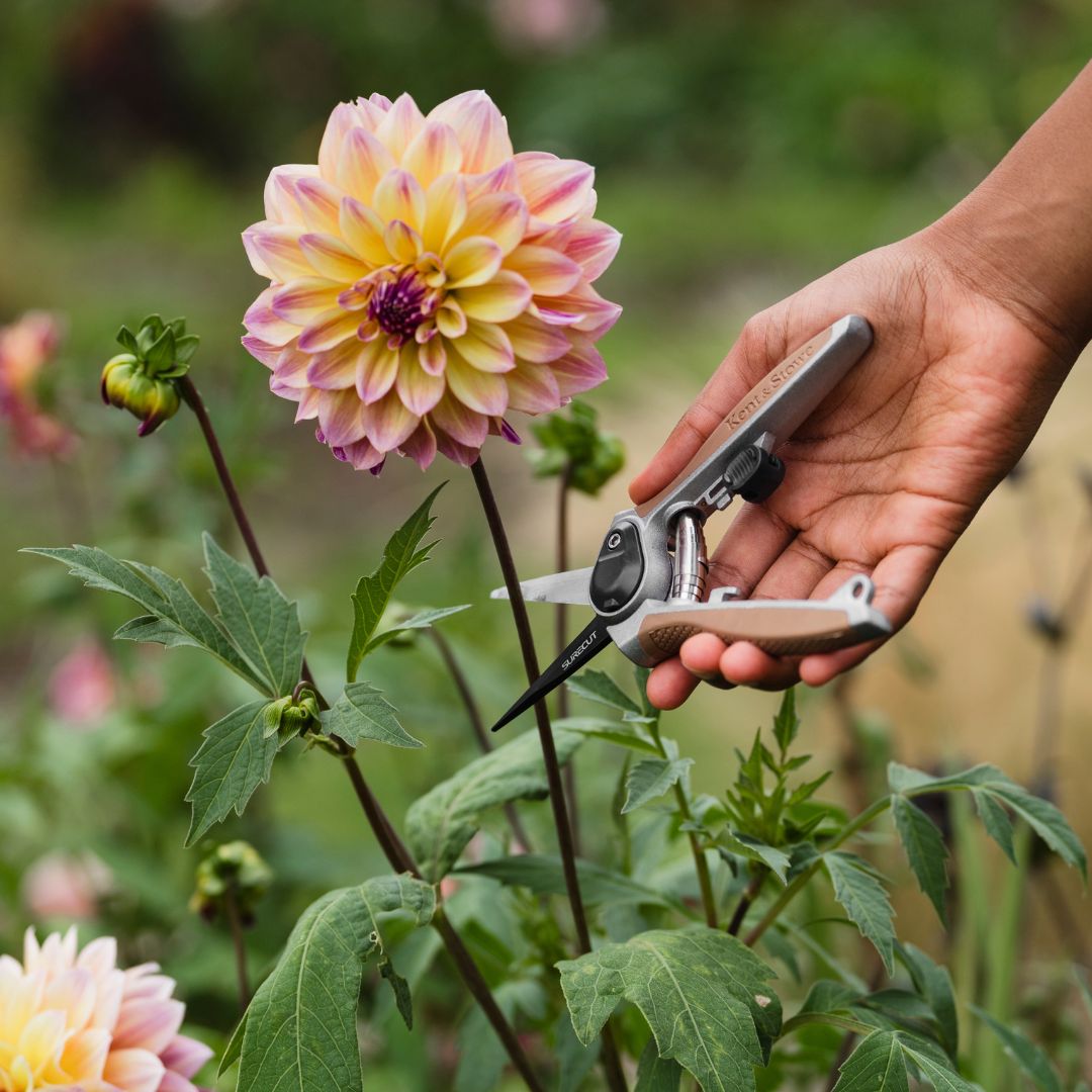 Kent & Stowe Garden Life Flower Snips