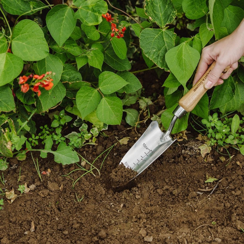 Kent & Stowe Hand Transplanting Trowel Stainless Steel - The Garden HouseKent & Stowe