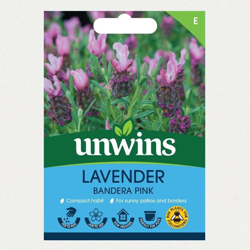 Lavender Bandera Pink - The Garden HouseUnwins