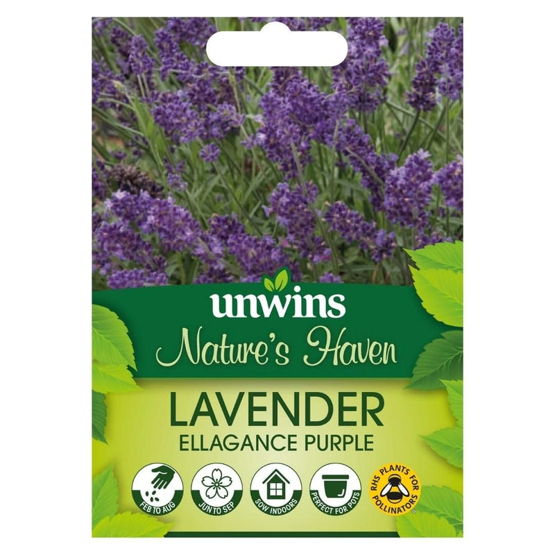 Lavender Ellagance Purple - The Garden HouseUnwins