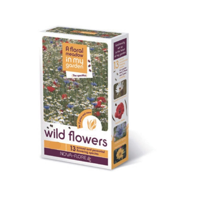 Nova-Flore Wild Flower Seeds - The Garden HouseThe Garden House