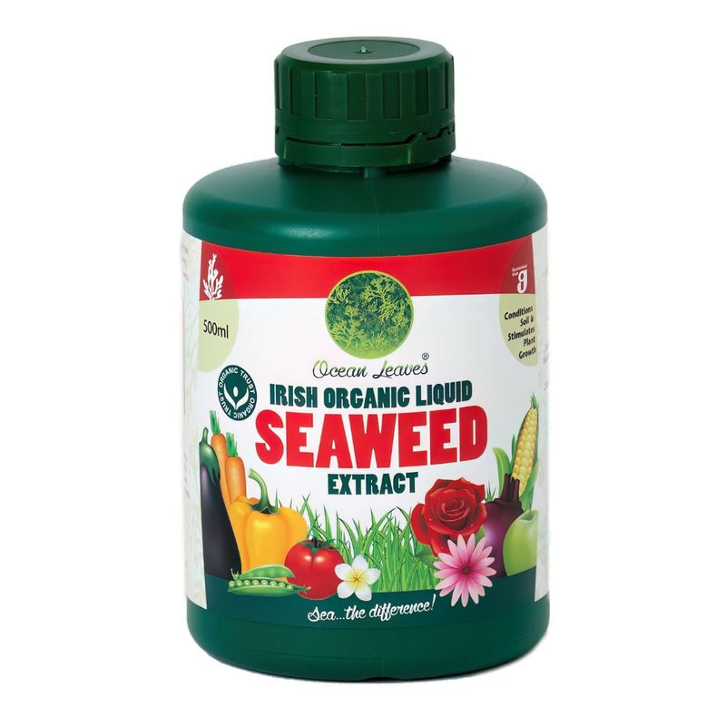 Ocean Leaves® Irish Organic Liquid Seaweed Extract - The Garden HouseOcean Leaves®