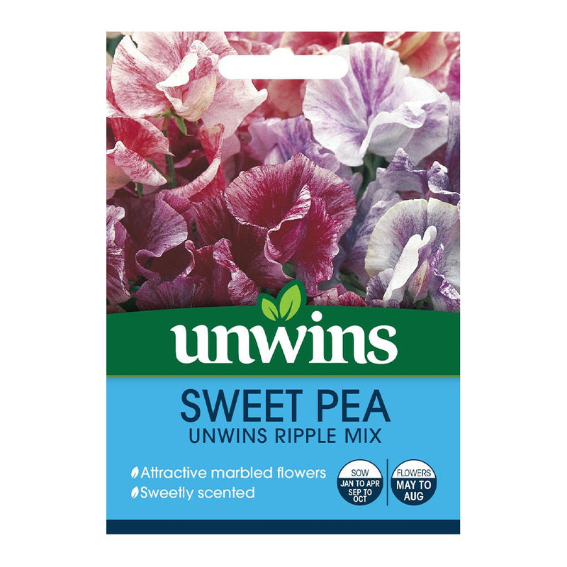 Sweet Pea Unwins Ripple Mix - The Garden HouseUnwins
