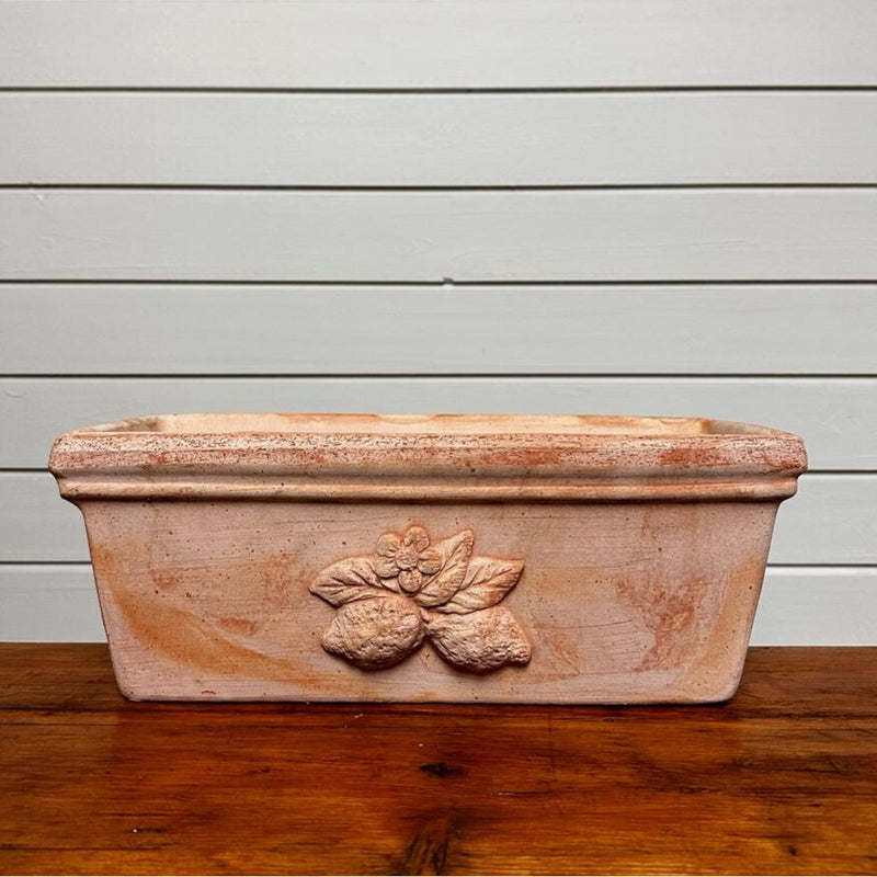 Terracotta Trough Sicilia 40cm - The Garden HouseDeroma