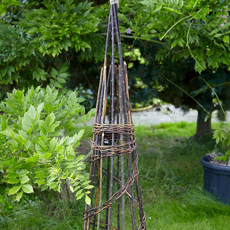 Tom Chambers Willow Spiral Obelisk - The Garden HouseTom Chambers