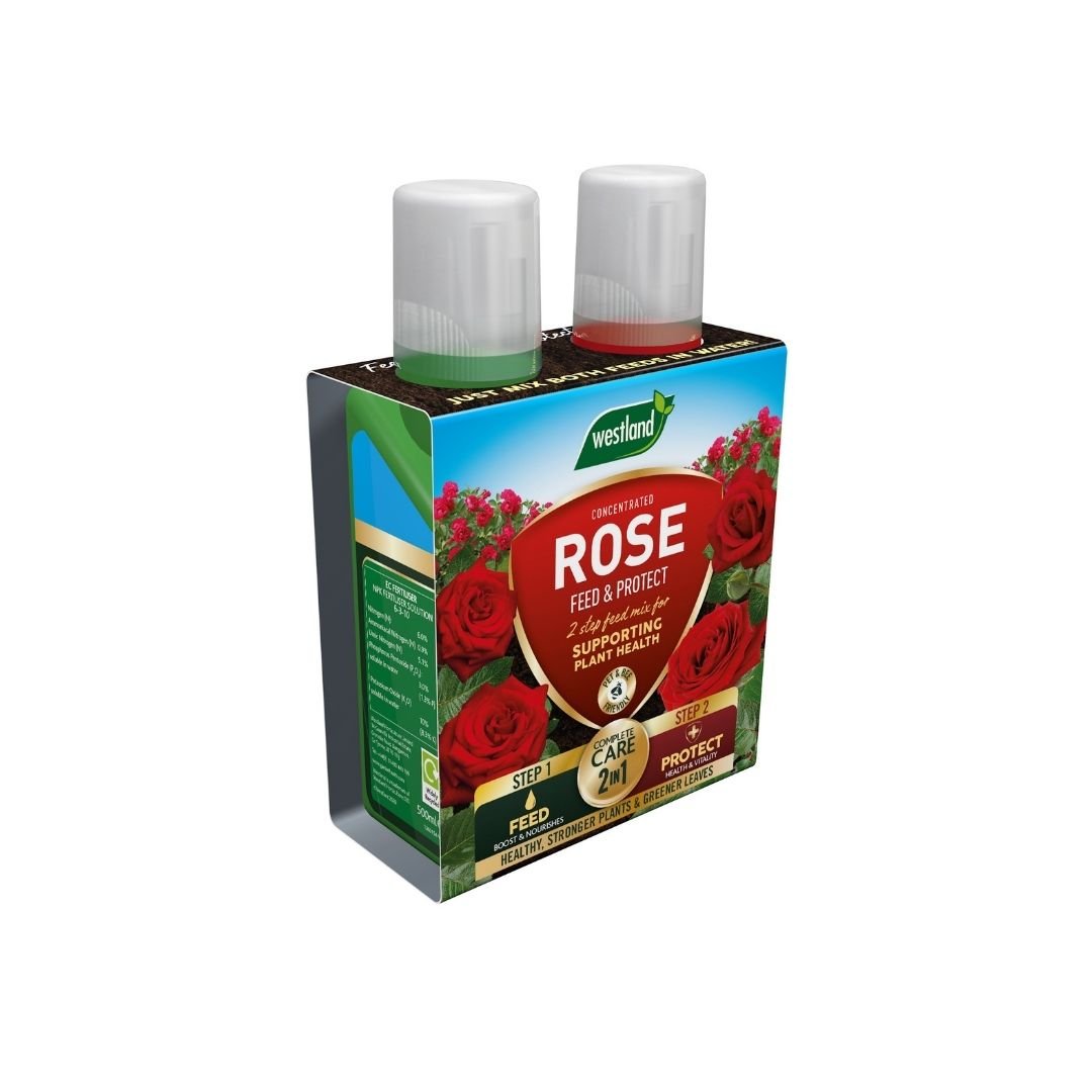 Westland Rose 2 in 1 Feed & Protect